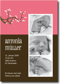 Ast, rosa, stillvoll