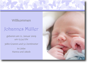 Schmetterlinge, elegant, hellblau