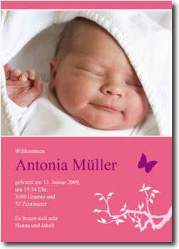 Schmetterling, pink, stilvoll