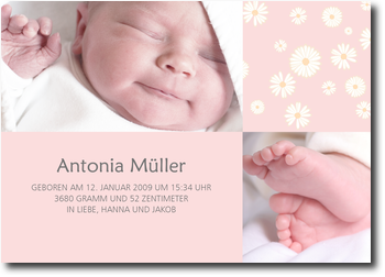 G�nsebl�mchen, zauberhaft, rosa