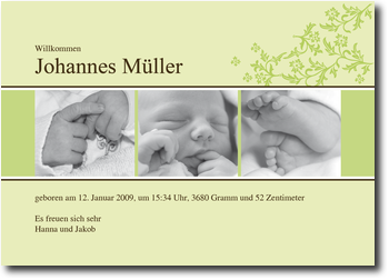 Zuckerblume, Filmstreifen, Jungen