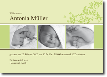 Zuckerblume, Filmstreifen, M�dchen