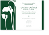 Calla-Pflanze, gr�n