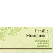 Zuckerblume