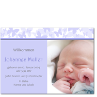Hellblaue Schmetterlinge
