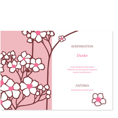 Kirschbl�te