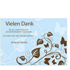Schmetterlingsbaum