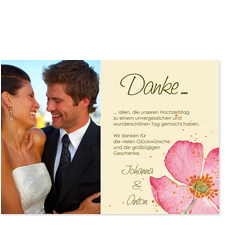 Malerische Rose