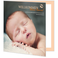 Zarter Knutscher in Apricot