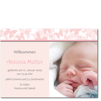 Rosa Schmetterlinge