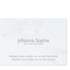 Himmel mit V�geln
