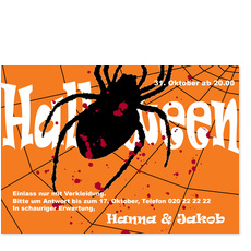 Horrorspinne