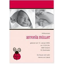 Babykarte Marienk�fer