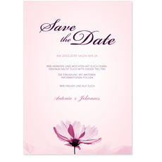 Zarte Blume in Rosa