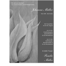 Zarte Tulpe