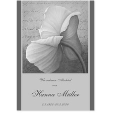 Gemalte Mohnbl�te 