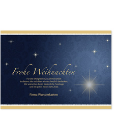 Weihnachtssterne 