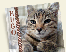 Fotobuch Fotobuch