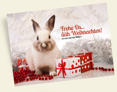 Tierische Weihnachtskarten Tierische Weihnachtskarten