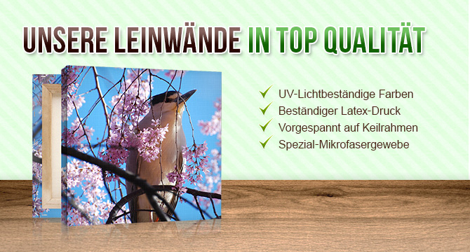 Fotoleinwand - Unsere Qualität
